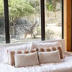 San Antonio Zoo - Spekboom Giraffe Lodge